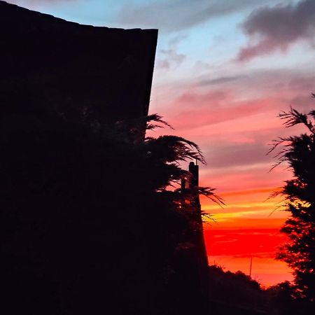 Casa Rural Quinta Los Naranjos Tigalate 외부 사진