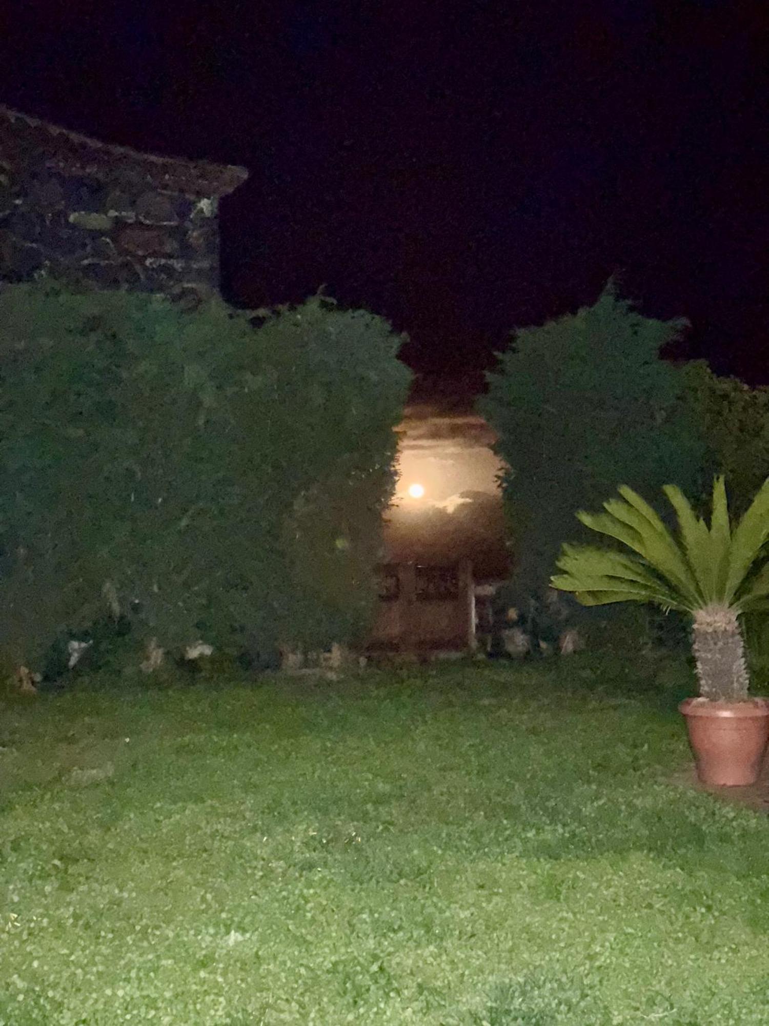 Casa Rural Quinta Los Naranjos Tigalate 외부 사진