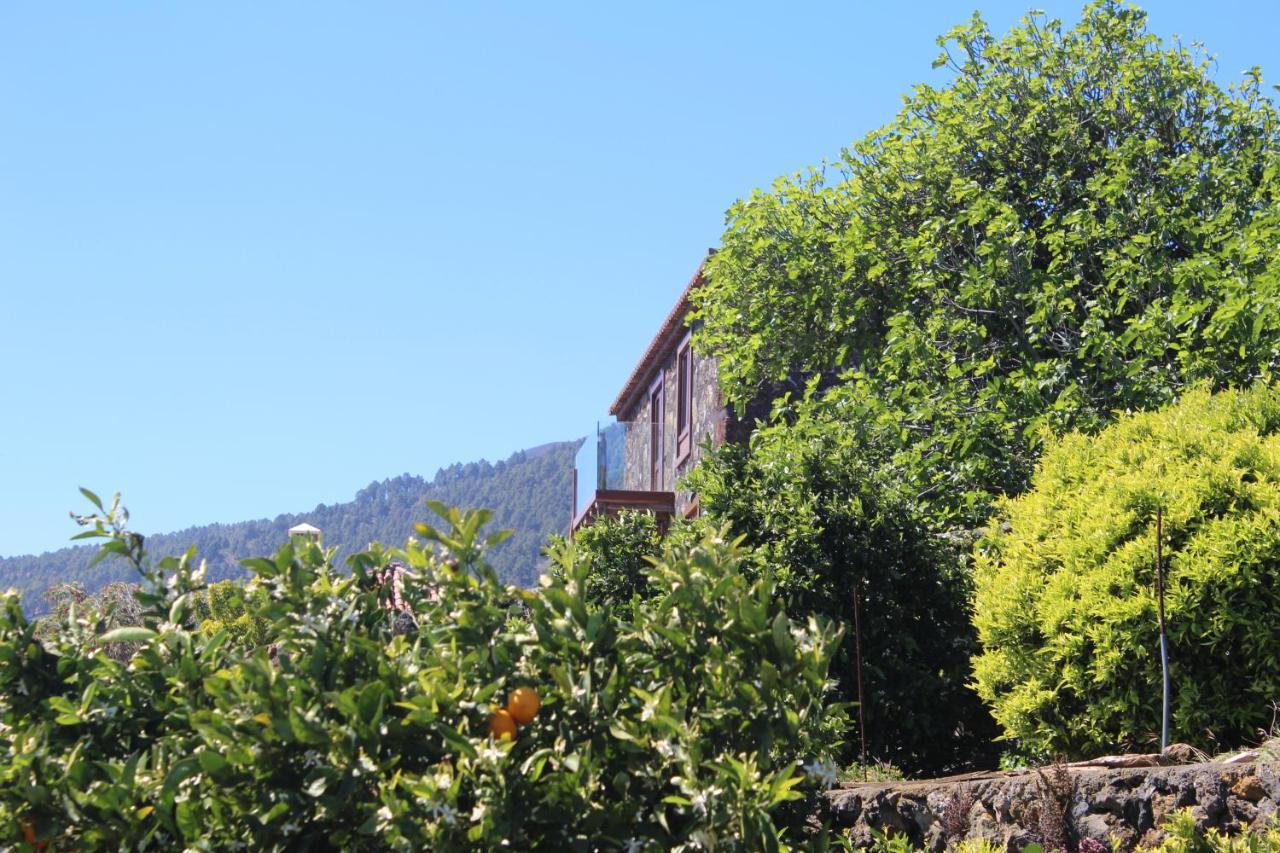 Casa Rural Quinta Los Naranjos Tigalate 외부 사진